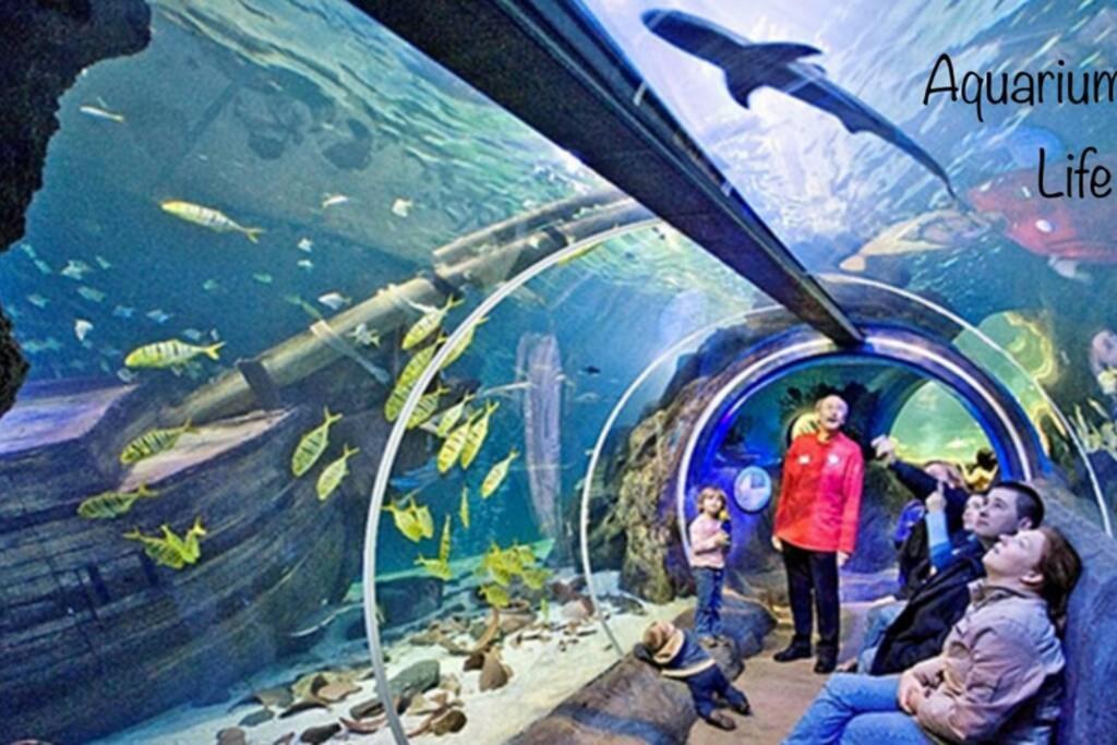 Studio 2 Adultes 2 Enfants Parcs Disneyland Paris モンテヴラン エクステリア 写真